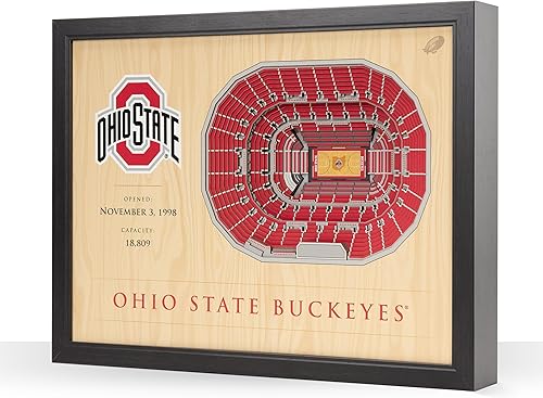 Miniatura 55 de YouTheFan NCAA Arte de Pared StadiumView de 25 Capas