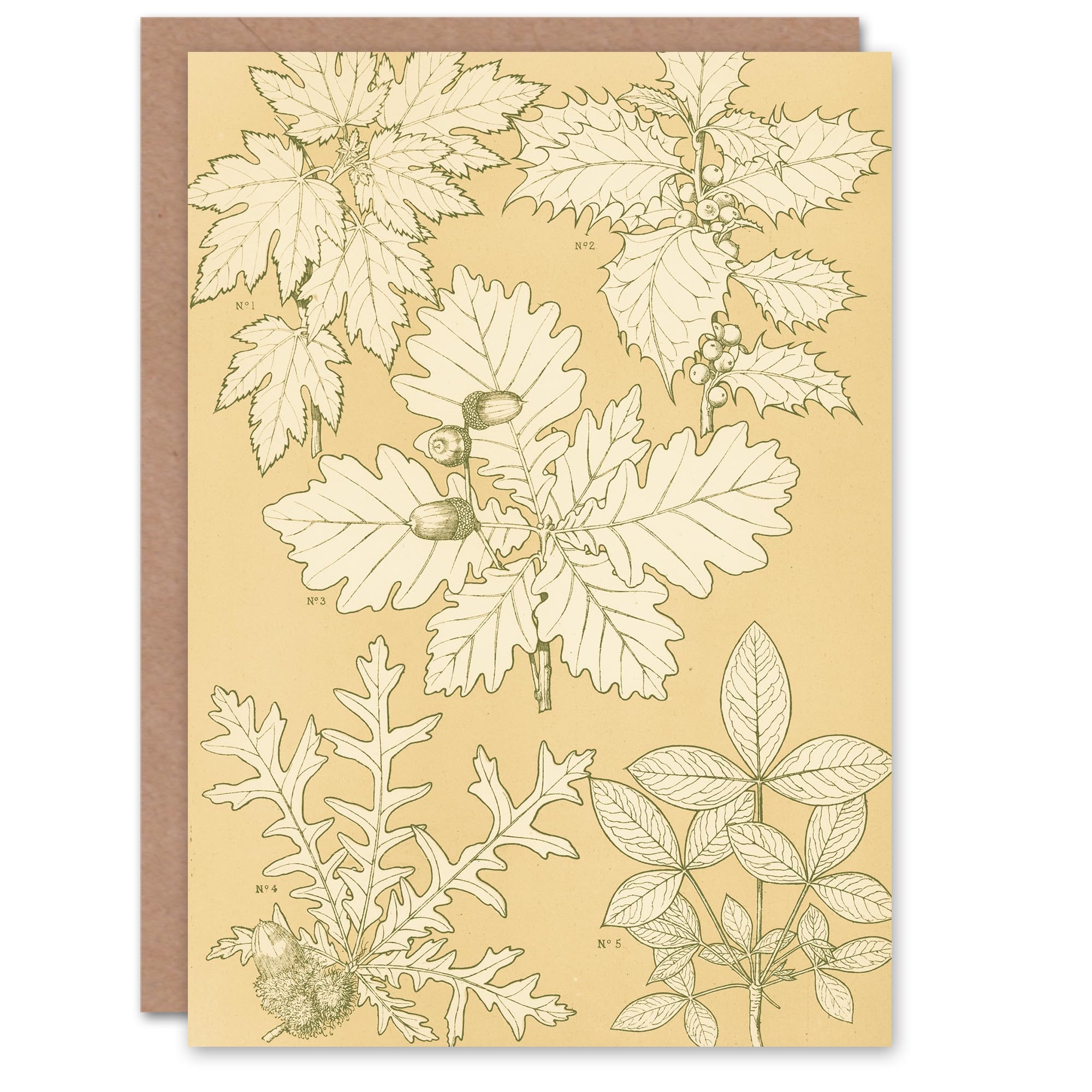 Artery8 Owen Jones Art Card Oak Leaves and Acorns Vintage Botanical
