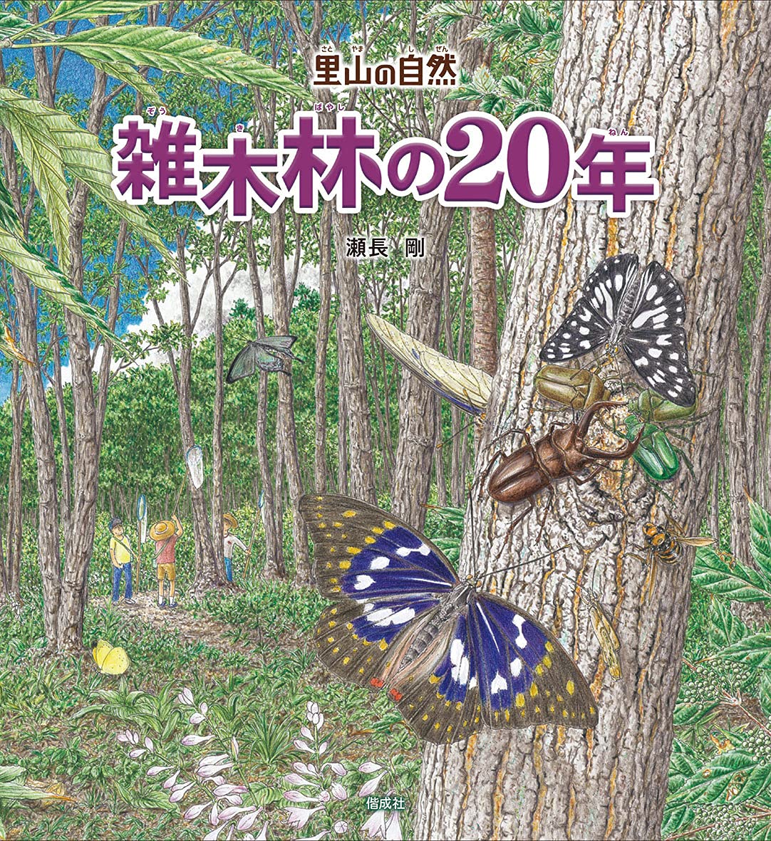 雑木林の20年 (里山の自然) | 瀬長 剛 |本 | 通販 | Amazon