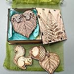 Review Image by Destructo Kitty Destructo Kitty