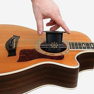 Acoustic Guitar Humidifier GH