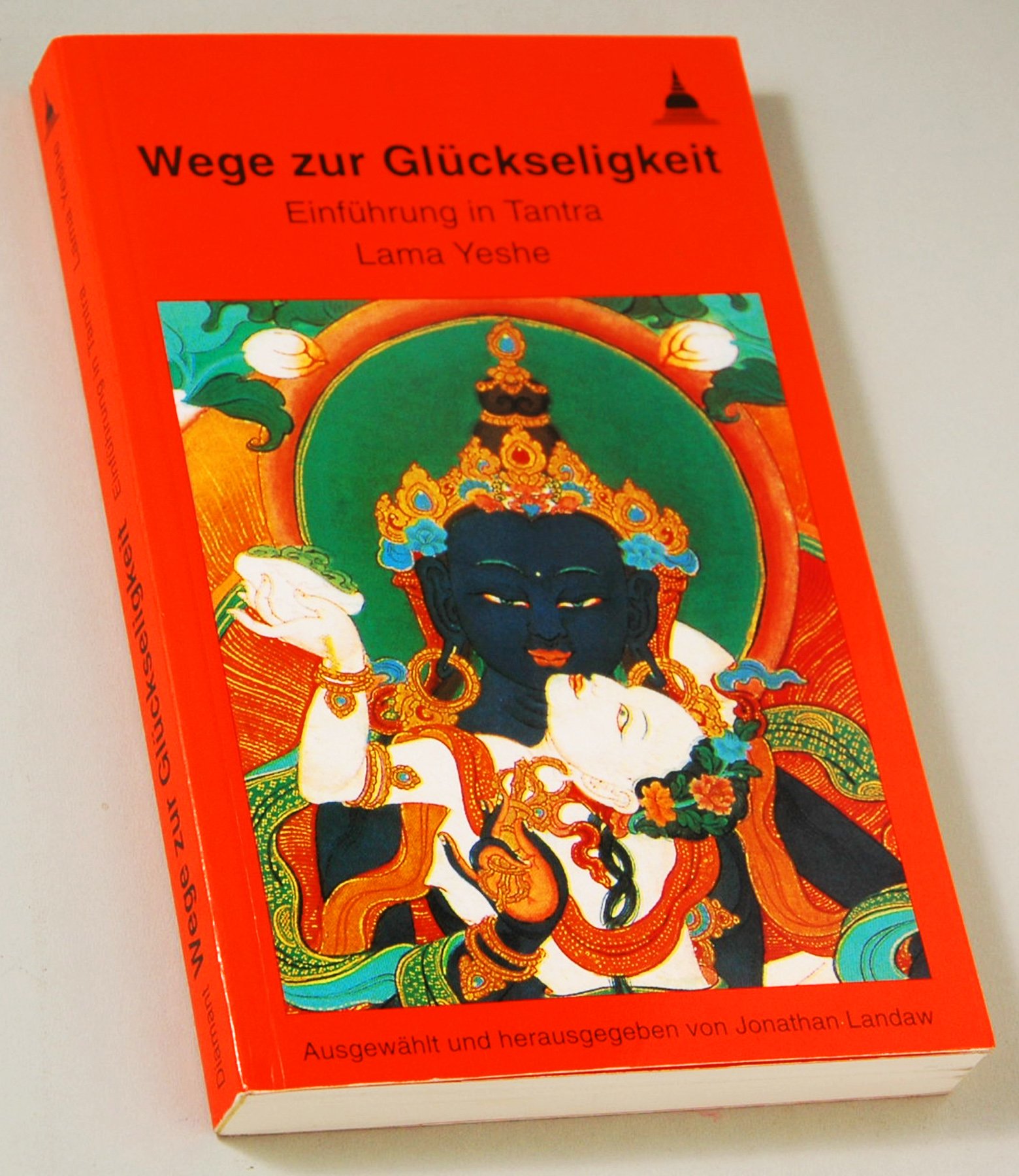 Wege zur Glückseligkeit: Einführung in Tantra: Einführung in das buddhistische Tantra