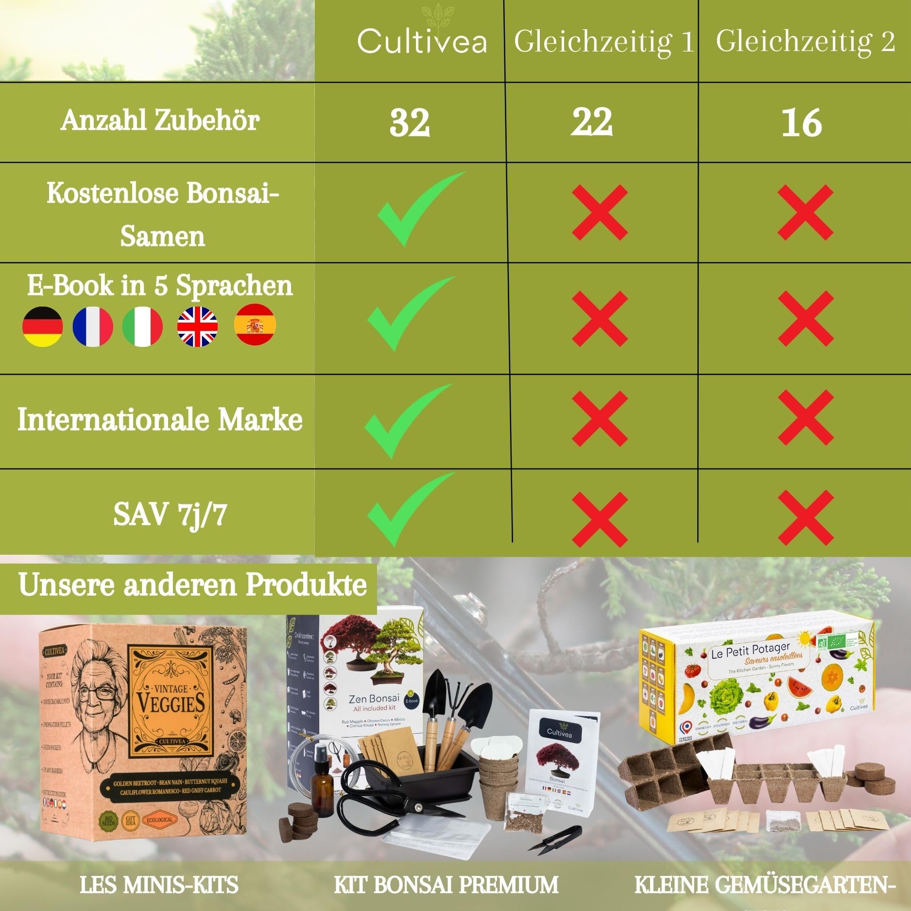 Handig Gereedschap voor Vetplanten en Miniatuur Plantenverzorging in de Tuin