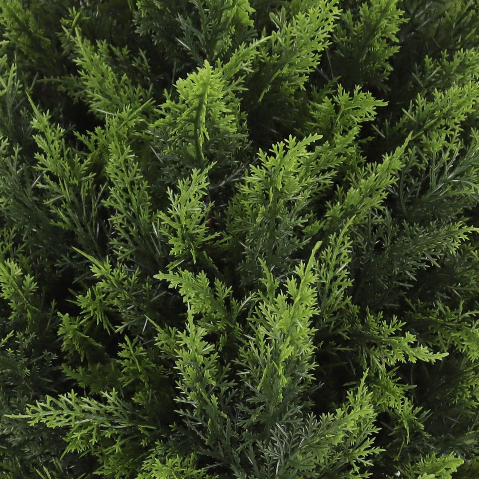 Zerodis Cyprès Artificiel Topiaire Plante Couronne Sphérique Réaliste (2