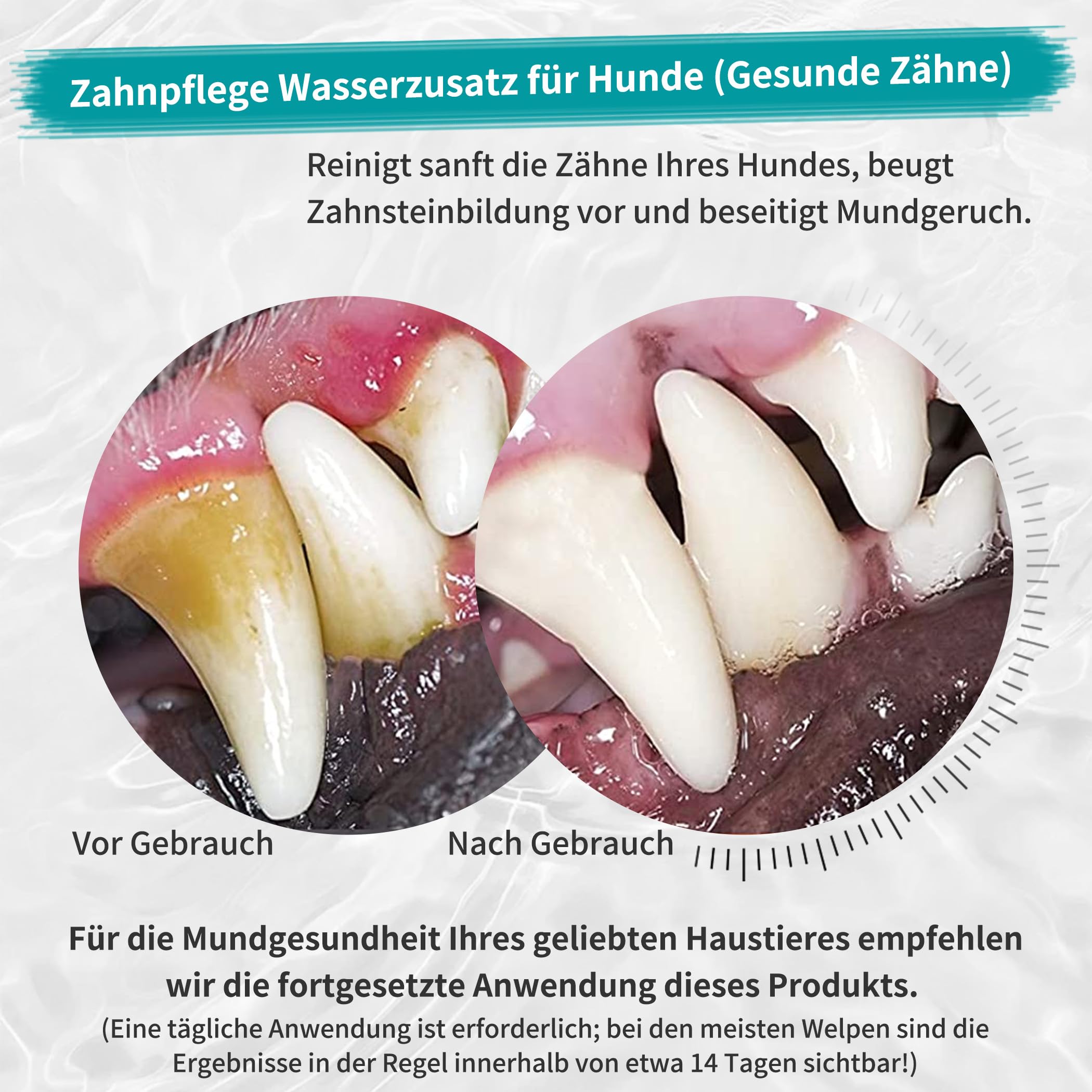 Mundwasser Hunde 40 Flaschen | 1 Flasche 380 ml Kein Zähneputzen Erforderlich | Entfernt Zahnbelag Und Sorgt Für Frischen Atem, Großabnahme, Ideal Für Tierpensionen, Haushalte Mit Mehreren Haustieren