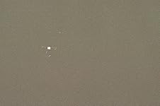 Review Image by Olivia W Olivia W