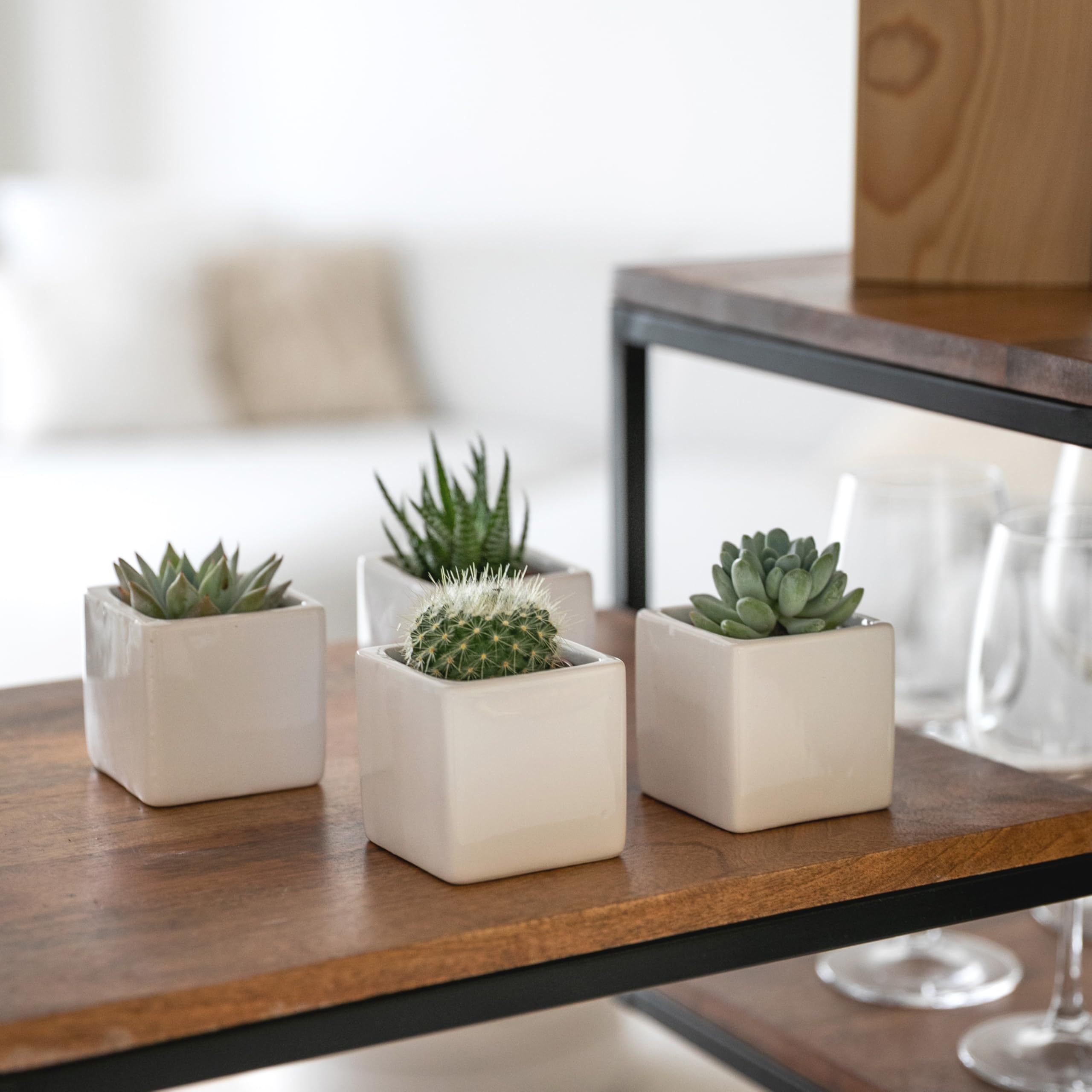 Set di 4 Vasi Bianchi, da Interno in Ceramica Bianca Lucida | Misura 6,5x6,5 cm | Ideali per Piante Grasse, Bonsai, Fiori, Vasetti Decorativi da Interno Moderni per Casa, Scrivania, Tavolo, Ufficio.