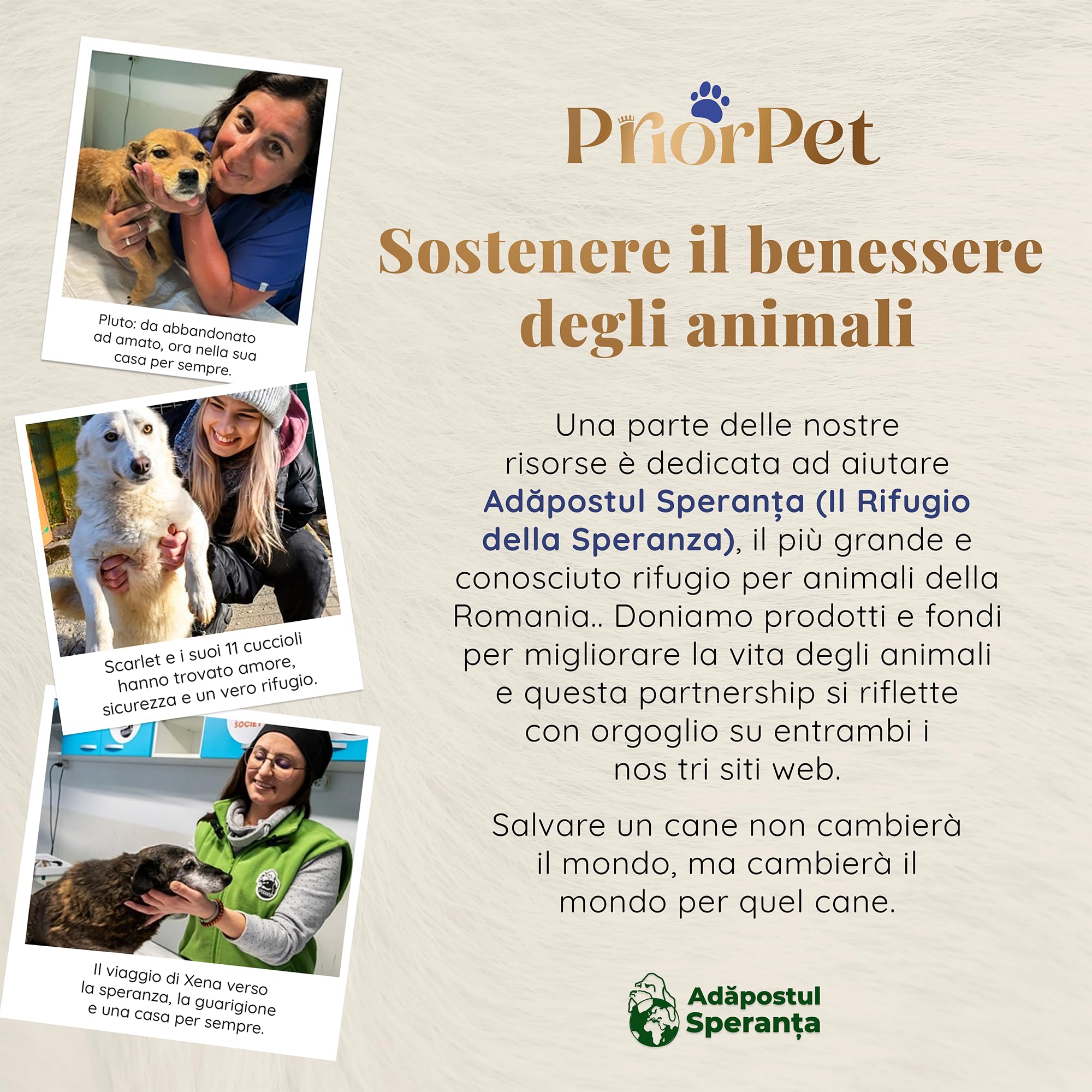 Rampa per Cani per Auto, SUV – STABILI – ANTISCIVOLO – Capacità 90 kg. – Rampe Estensibili per Cani di Grossa Taglia – Lati Riflettenti – Scale per Cani Leggere – Clip di Bloccaggio – Verde