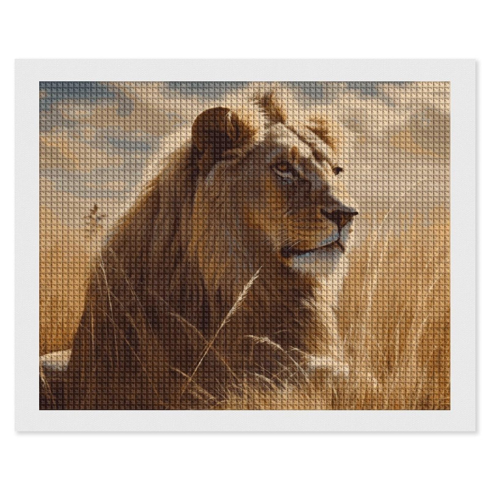 NONHAI Diamond Painting Kits for Adults - DIY Diamond Art Kits for Beginners - Full 5D Paint Drill Diamond Dots Paintings- Prairie Lion Diamonds Pictures Gem Art and Craft Wall Decor 16"x20"
