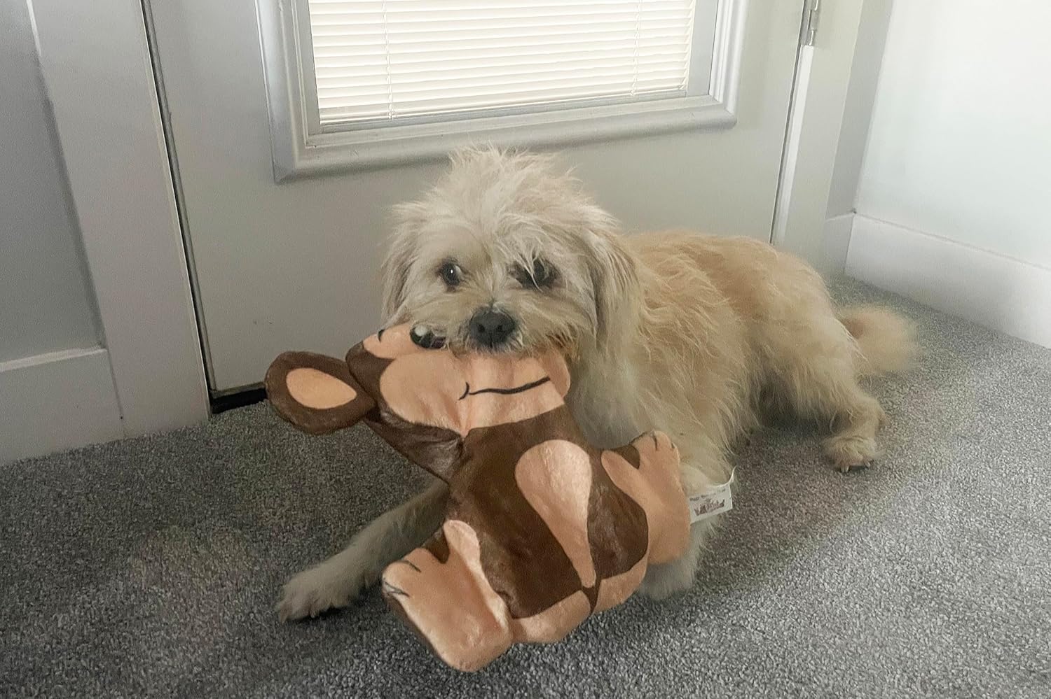 Piggy Poo and Crew Monkey Giraffe Meerkat Crinkle Fetch Toys Puncture Proof Squeaker Double Layered Double Seams Durable Tug Toys for Dogs Puppies Small Animals