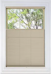 BlindsAvenue Cordless Top Down Bottom Up Cellular Honeycomb Shade, 9/16" Single Cell, Light Filtering, Fawn, Size: 67" W x 48" H