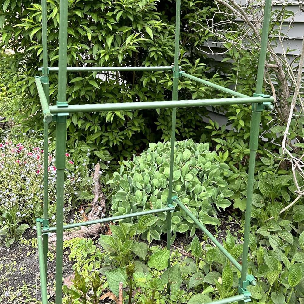 Lot de 30 tuteurs pour plantes grimpantes - Tube en acier inoxydable revêtu de plastique - 40 cm de diamètre - 11 mm de diamètre - Avec 20 connecteurs et 30 clips multifonctions - Tuteur pour pois