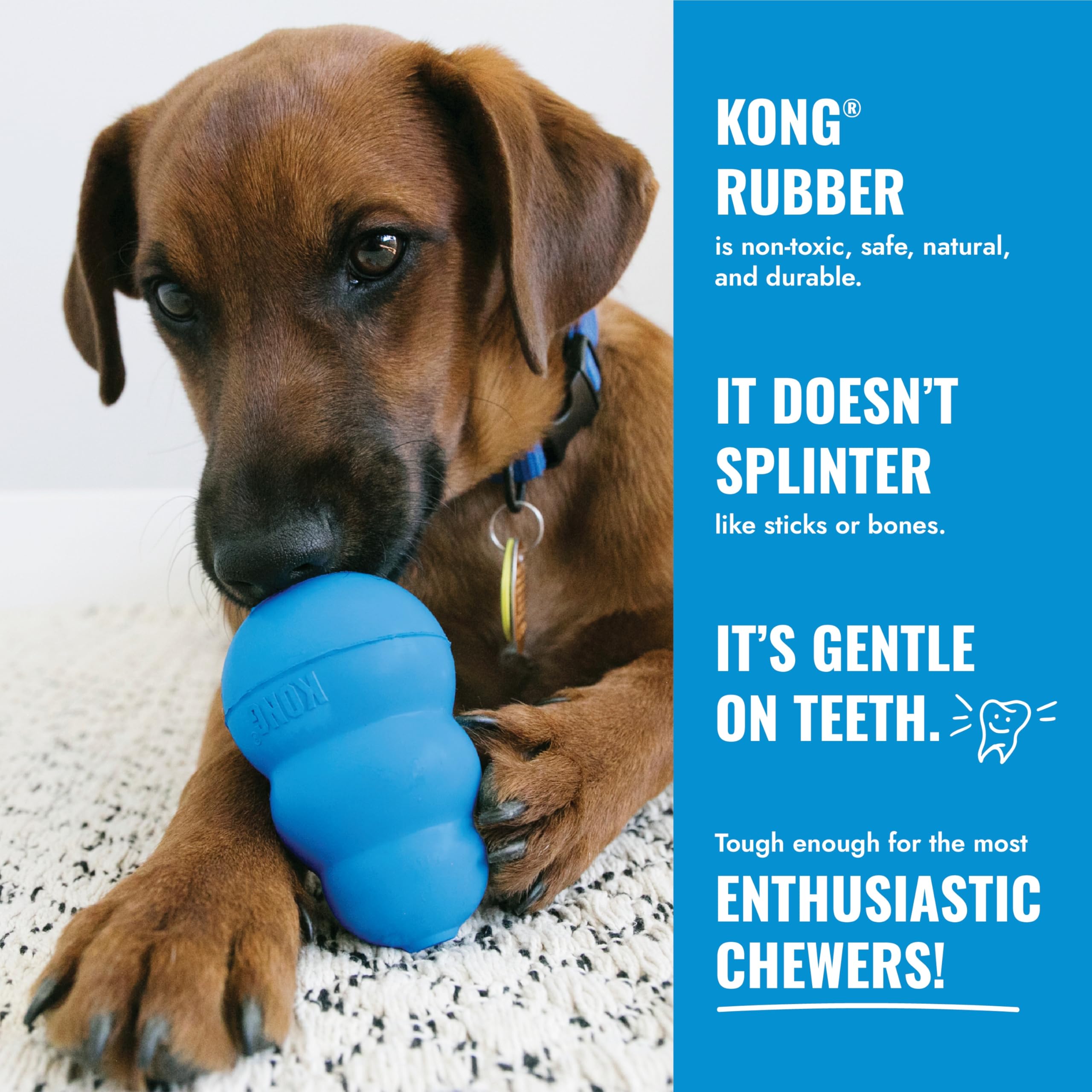 KONG - Puppy Goodie Bone - Guma do ząbkowania, zabawka dla psa do dozowania smakołyków (różne kolory) - dla małych szczeniąt
