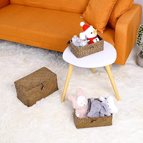 Miniatura 7 de Cestas de almacenamiento de hierba marina natural con tapa, cajas organizadoras multiusos para el hogar, cajas organizadoras para estantes,