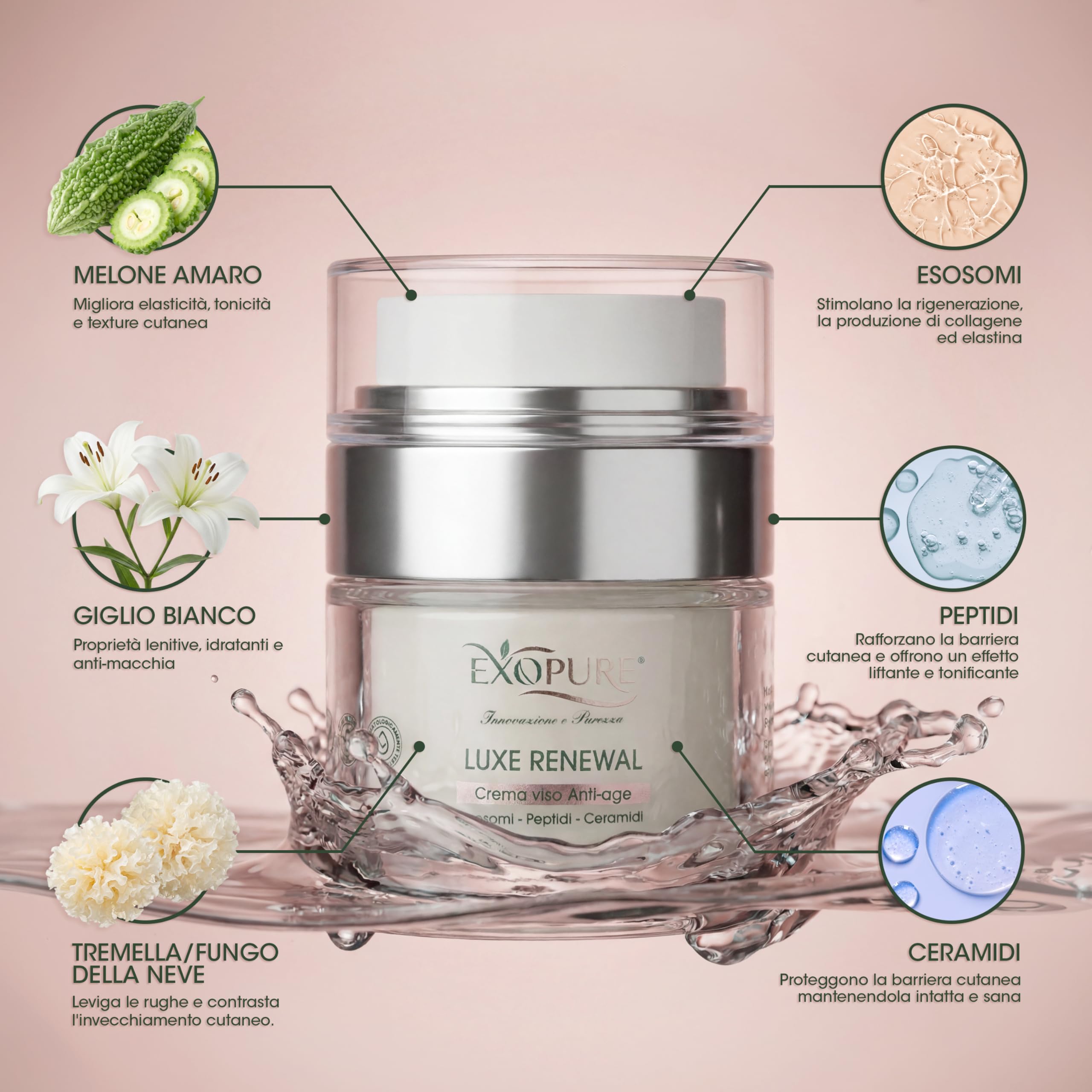 EXOPURE 50ml Crema Viso Antirughe Avanzata con ESOSOMI, Peptidi e Ceramidi | Crema Idratante Viso Innovativa, Rimpolpante, Skincare 100% MADE IN ITALY, Crema Viso Uomo & Donna - Effetto Radioso