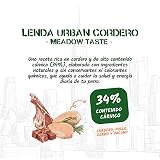 Ver la foto 2