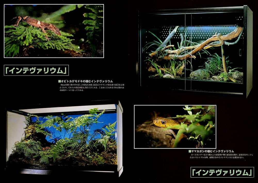 爬虫類・両生類バイブル　BIBLE 爬虫類・両生類バイブルⅣ［復刻版］ (アクアマガジン［復刻版