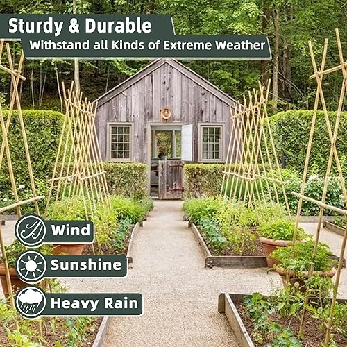 Miniatura 3 de 50 estacas de bambú para plantas de interior y exterior, palos de bambú de 0.32 a 0.4 pulgadas, 5 pies, estacas de soporte de jardín, postes de