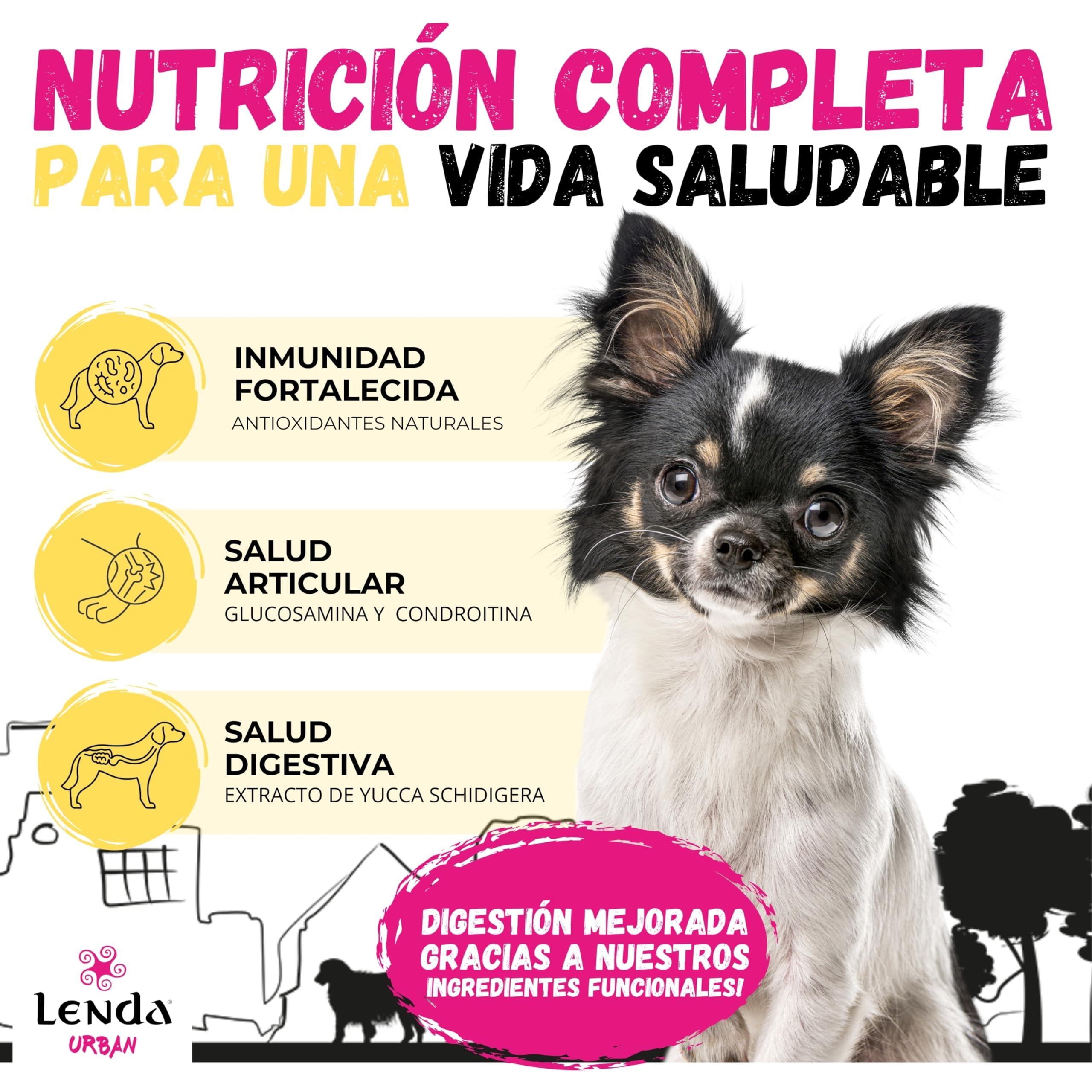 Lenda Urban Diet/Light Kurczak 10 kg – Karma sucha dla psów małych i średnich ras – Formuła miejska – 1 szt.