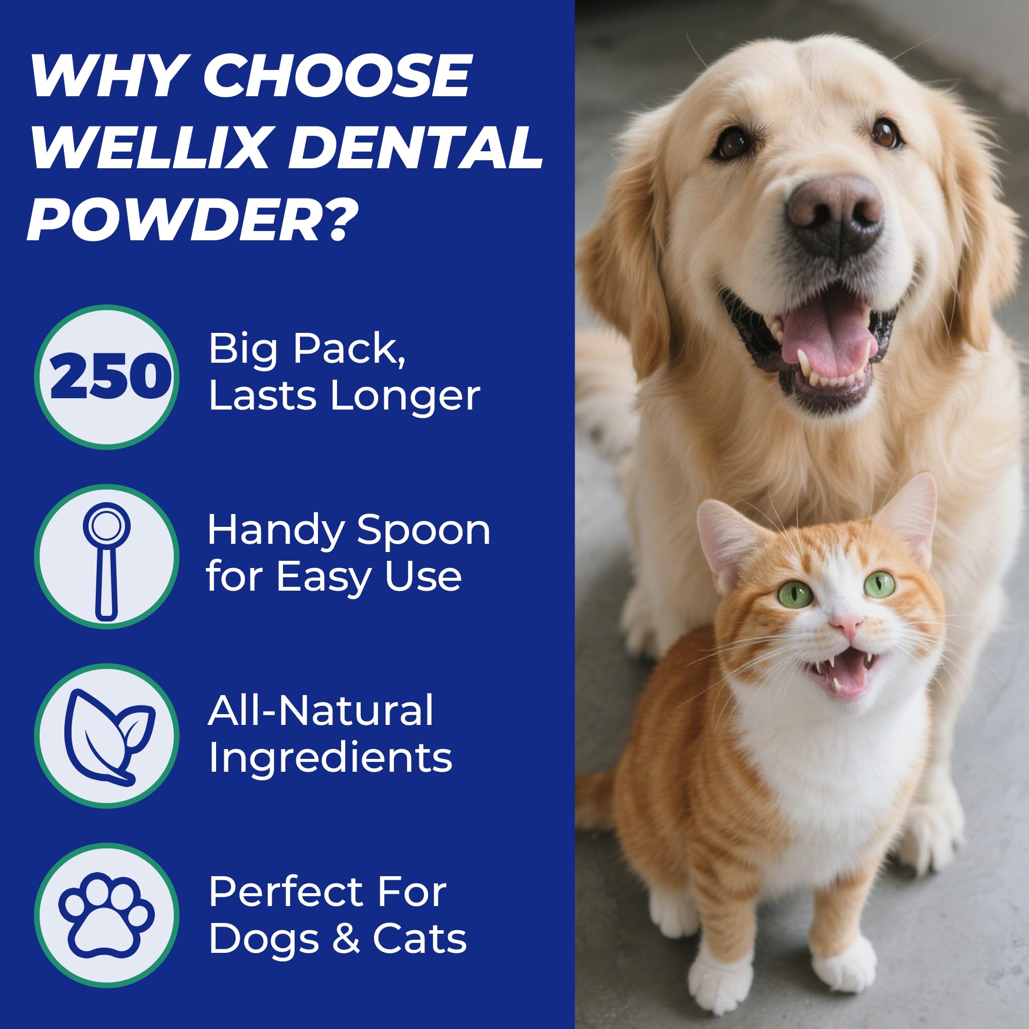 Wellix 8.82oz Dog Teeth Cleaning Powder - Dog Dental Care Powder and Cat Breath Freshener - Plaque and Tartar Remover with Enzymes & Mint for Dogs & Cats of All Ages and Breeds - image 4