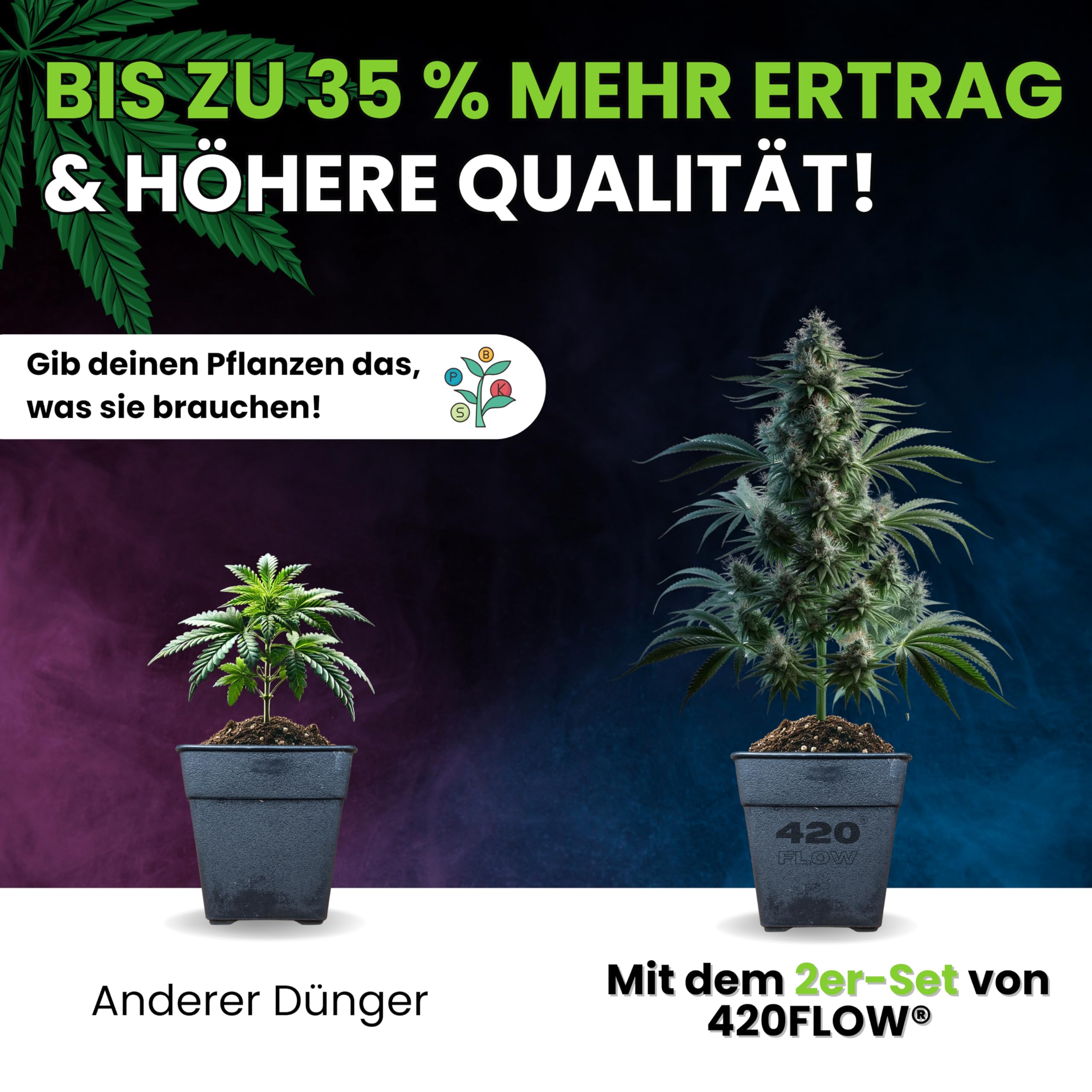 420Flow Cannabis Dnger-Set: Grow und Bloom  Komplettset fr Anfnger,  strkt Bltter, frdert prchtige Blten Pflanzendnger Autoflower, Hanf  Set Anbau (500ml) : Amazon.de: Garten