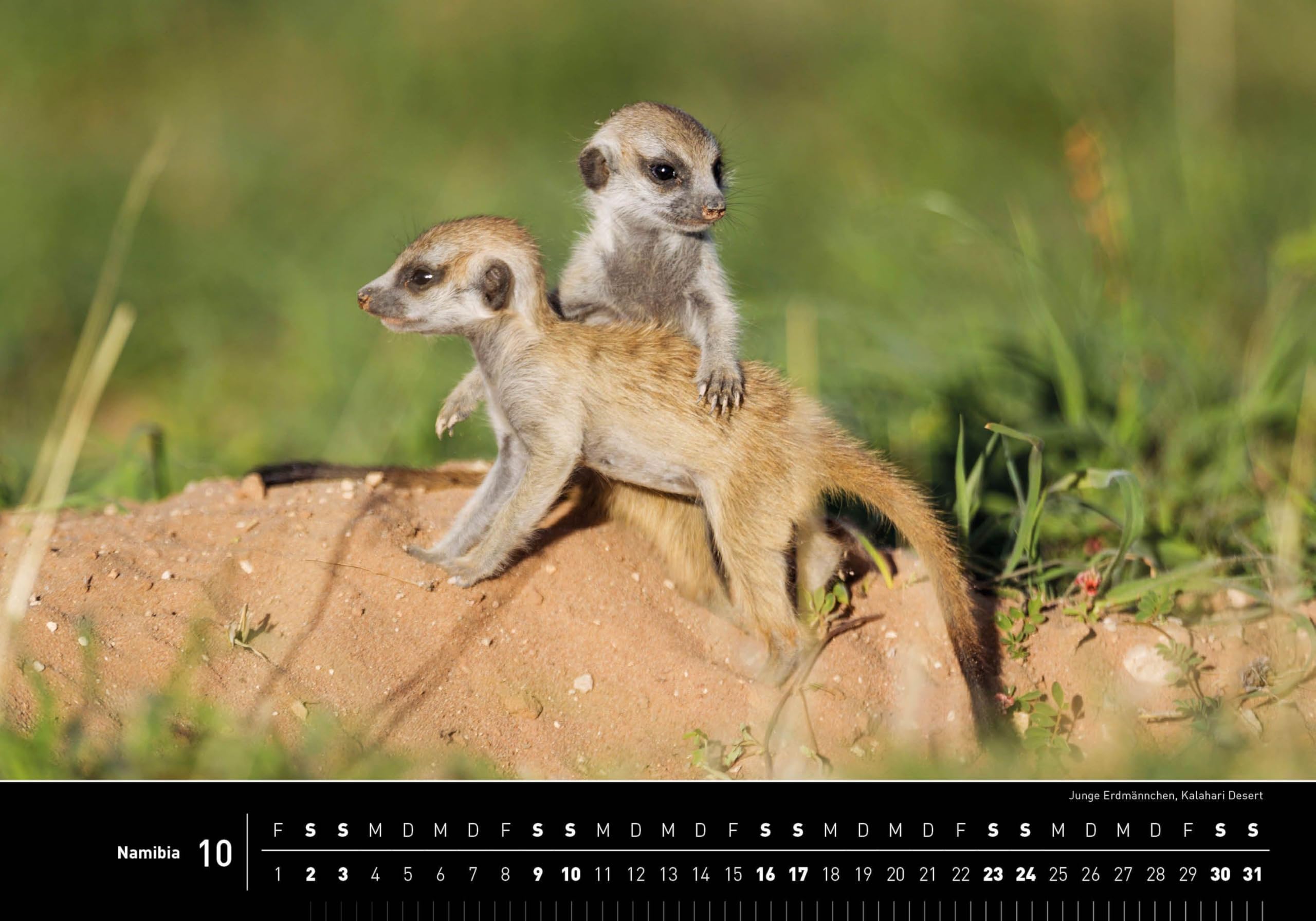 Namibia Premiumkalender 2027
