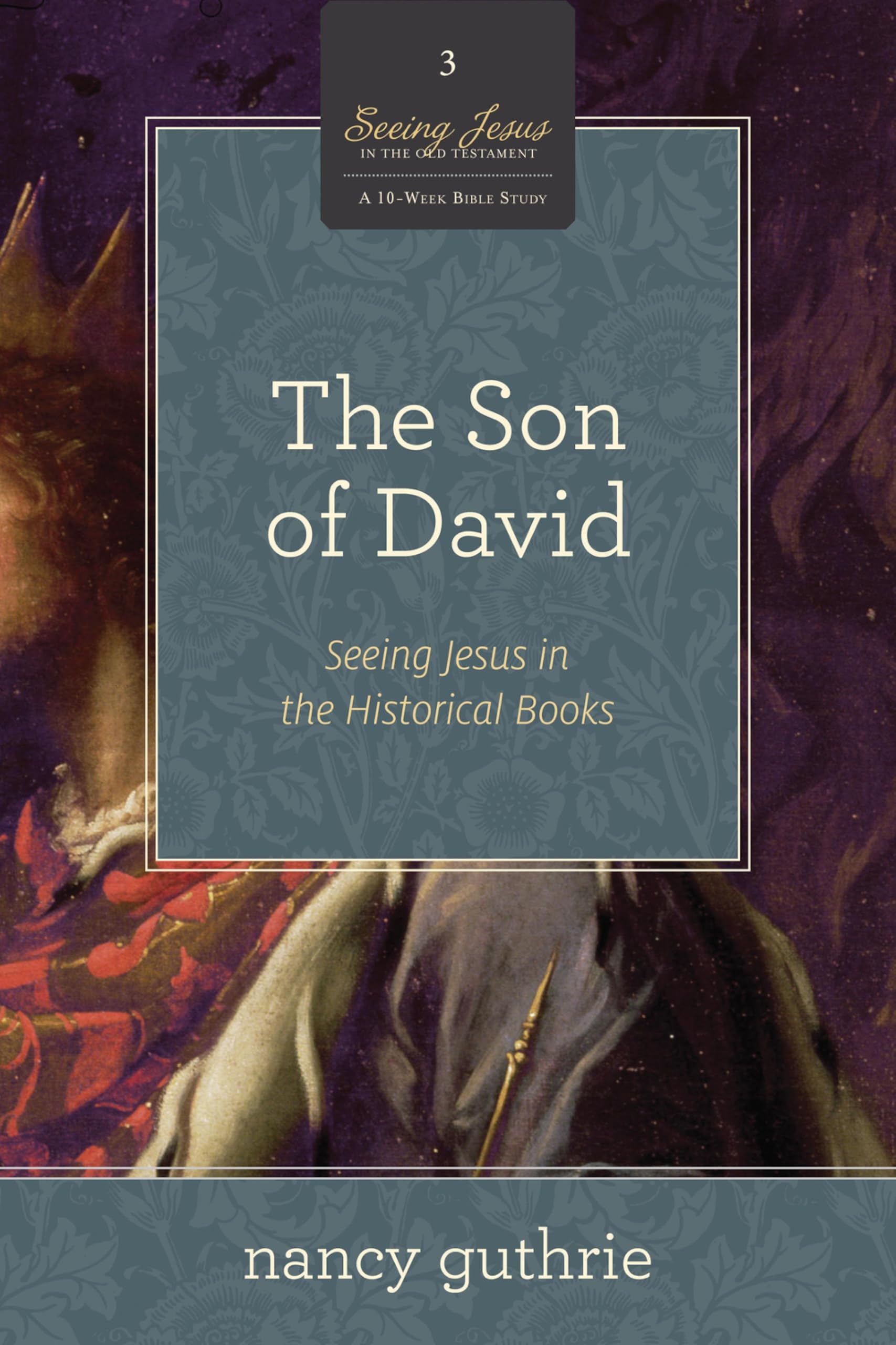 The Son of David: Seeing Jesus in the Historical Books (A 10-week Bible Study): 3 (Seeing Jesus in the Old Testament, 3)