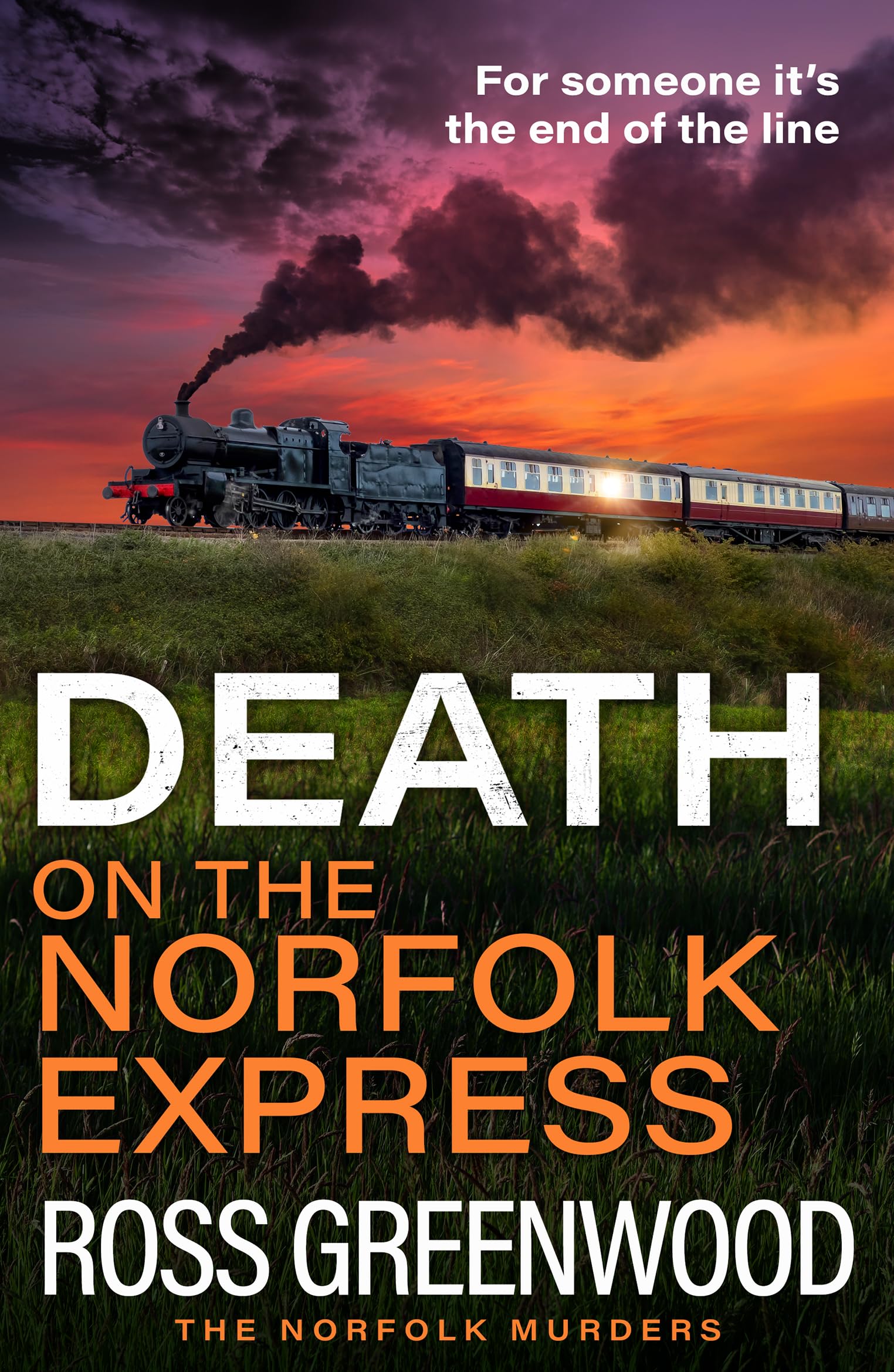 Death on the Norfolk Express: The BRAND NEW chilling crime thriller of murder, suspense and a race against time for 2026 (The Norfolk Murders, 6)