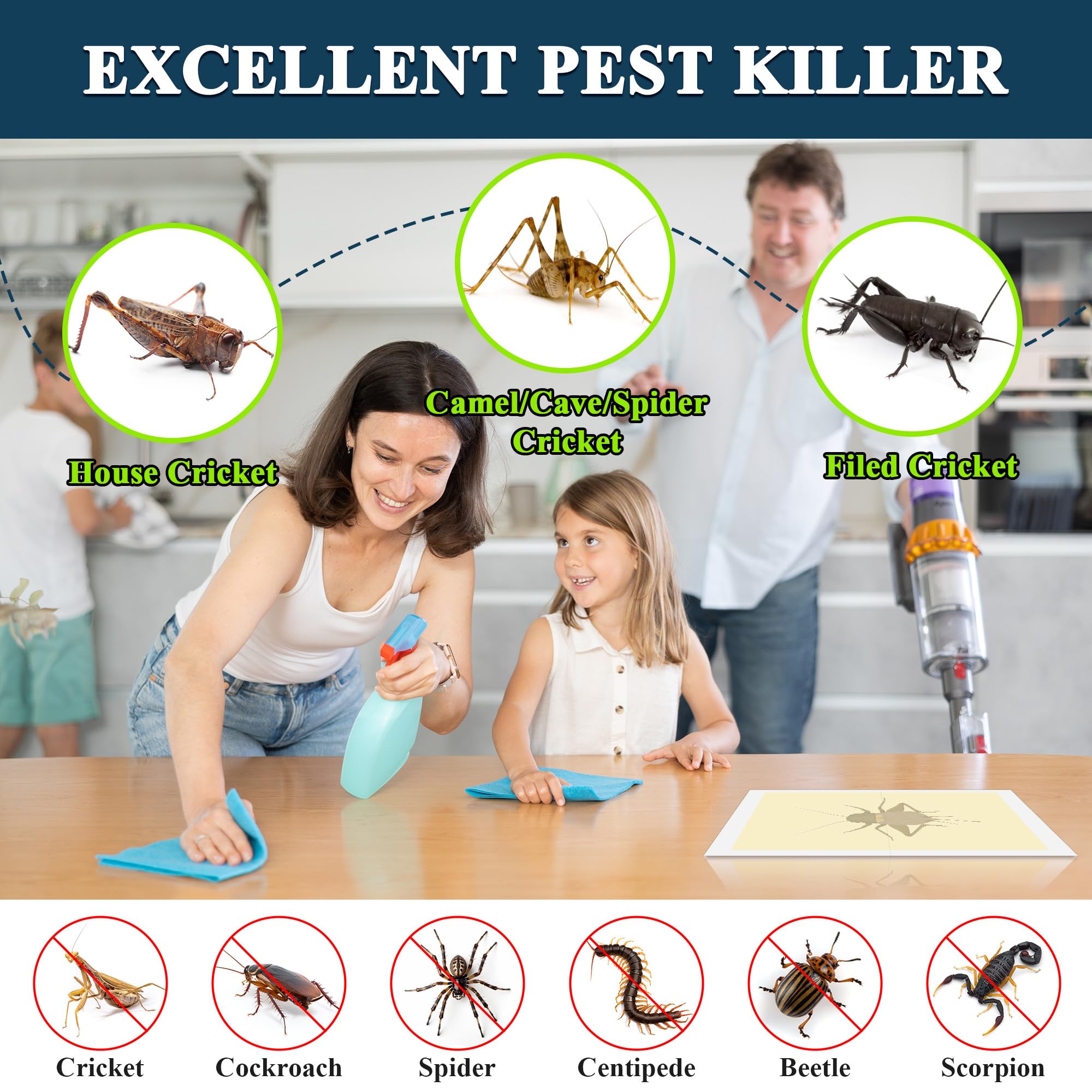 Qualirey Riesige Cricket-Kleberfallen, ungiftig, selbstklebend, für den Innenbereich, für die meisten kriechenden Insekten, Spinnen, Käfer, Skorpion, Kakerlake, Tausendfüßler, 20 Stück