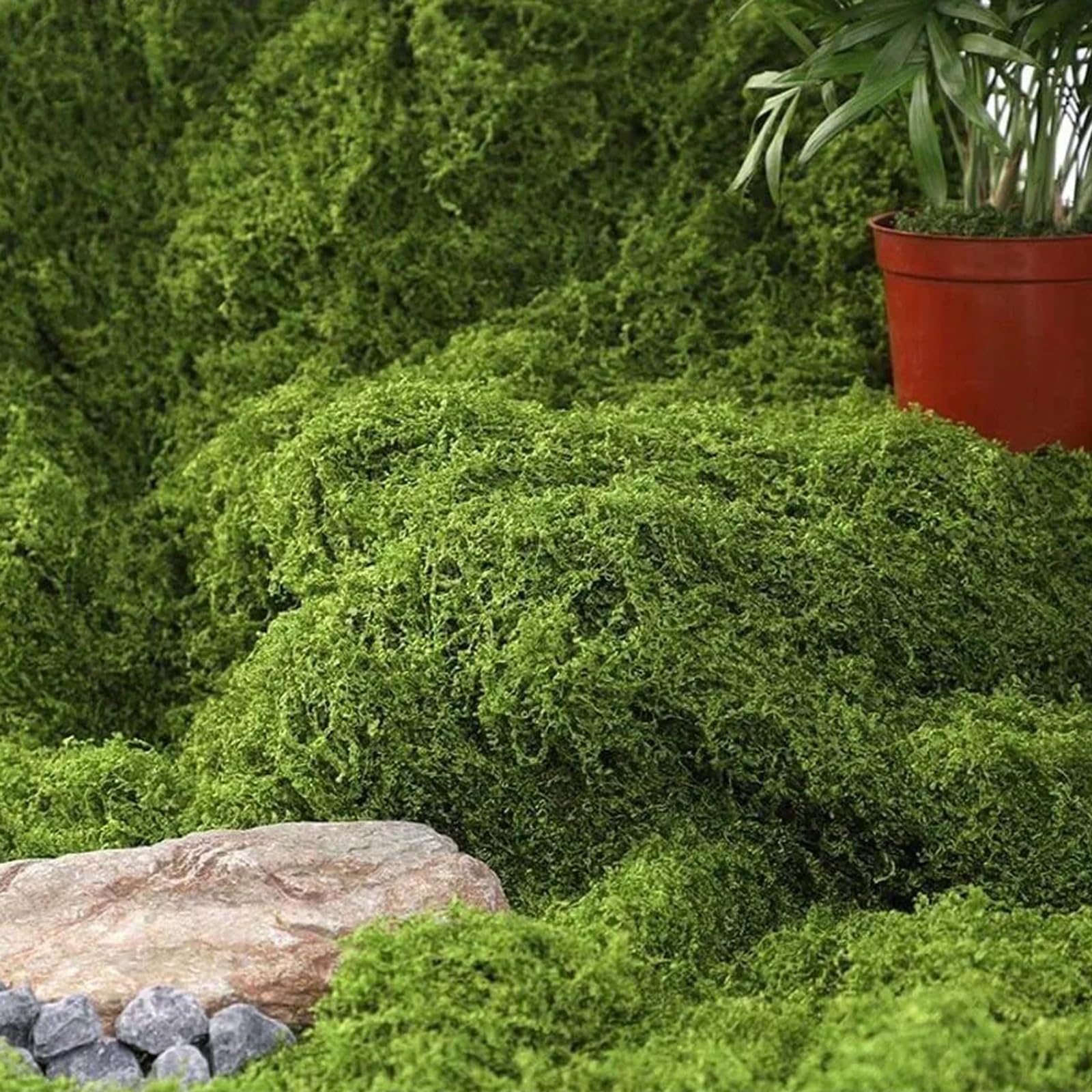 Tappetino in muschio artificiale, 100 x 100 cm, per decorazione da parete, muschio, fai da te e terrario, per decorazione, verde (verde chiaro)