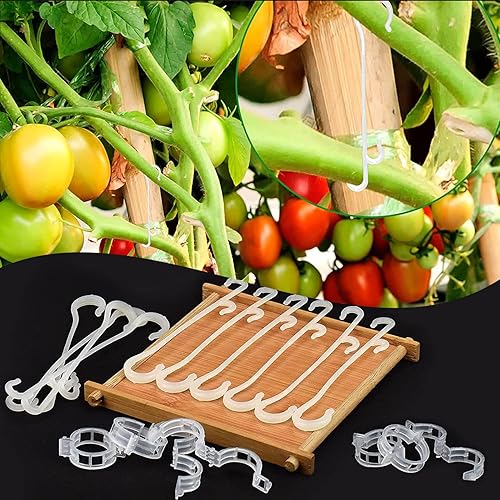 Miniatura 7 de 150 piezas de soporte de tomate para plantas, clips de gancho en J, tomates de jardín, truss de verduras para evitar que los tomates pellizquen o se