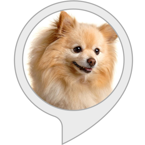 Amazon.in Dog Feed Tracker Alexa Skills