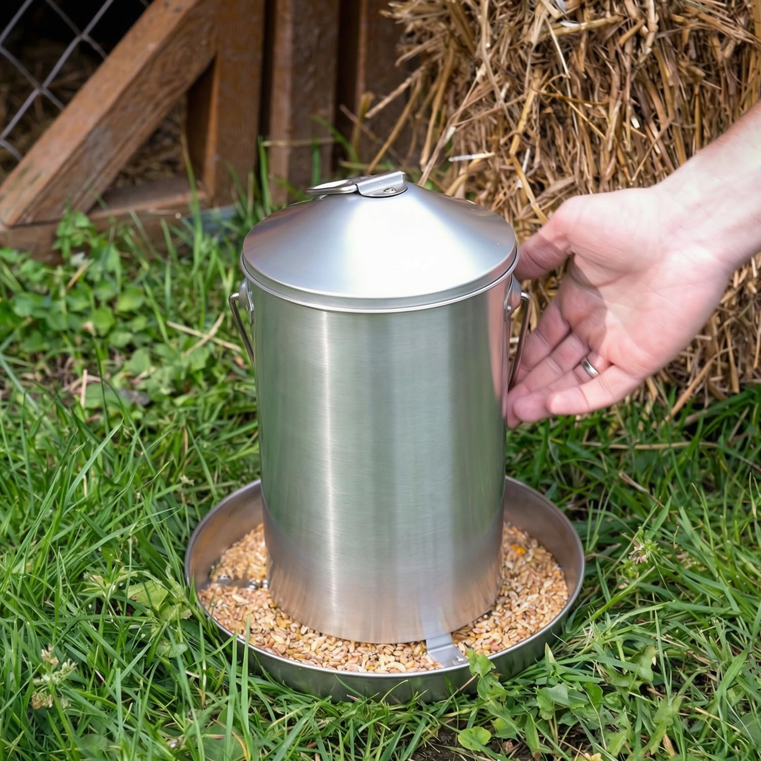 Plexon Mangiatoia automatica per polli in acciaio inox, 3 kg, per uso alimentare, per pollame, in metallo, resistente, affidabile, a lunga durata, con manico