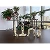 Product Photo 8