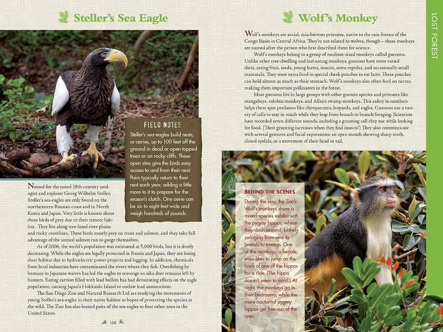 San Diego Zoo Official Guidebook