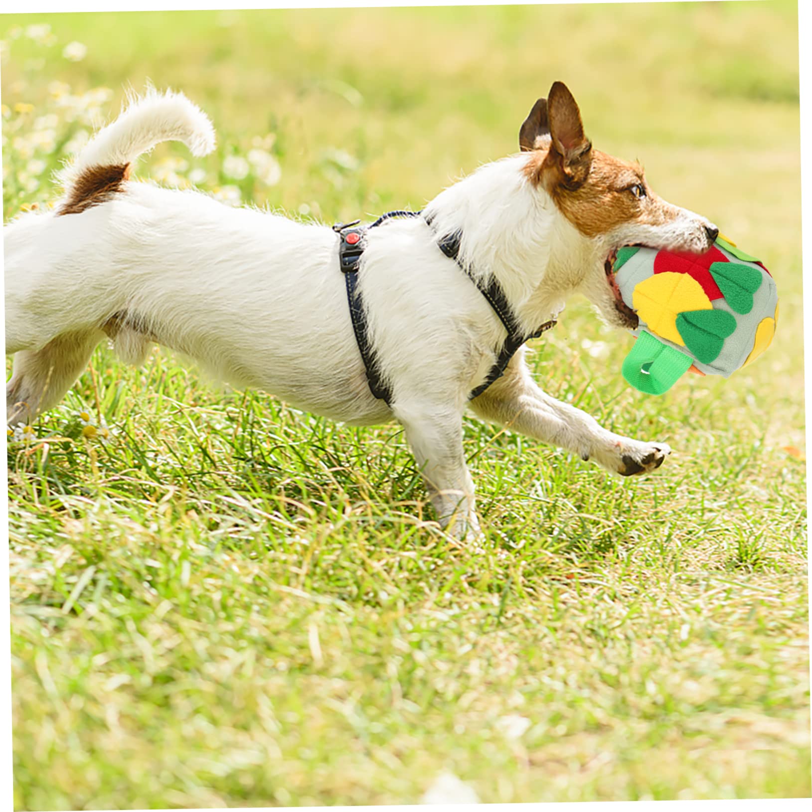 Housoutil 2stücke Hundeschnüffelball Für Interaktives Spielen Futterball Aus Weichem Atmungsaktivem Material Fördert Das Futterfinden Zahnpflege Für Kleine Bis Mittelgroße Hunde