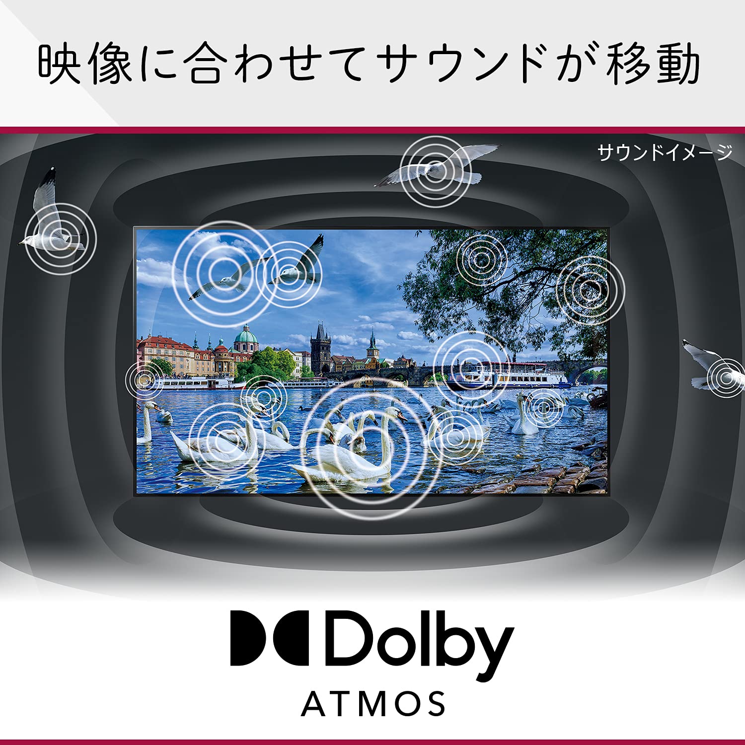 Amazon | LG 55型 4Kチューナー内蔵 有機EL テレビ OLED55A1PJA Alexa 