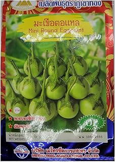 Golden Mountain Thai Mini Round Eggplant Seeds
