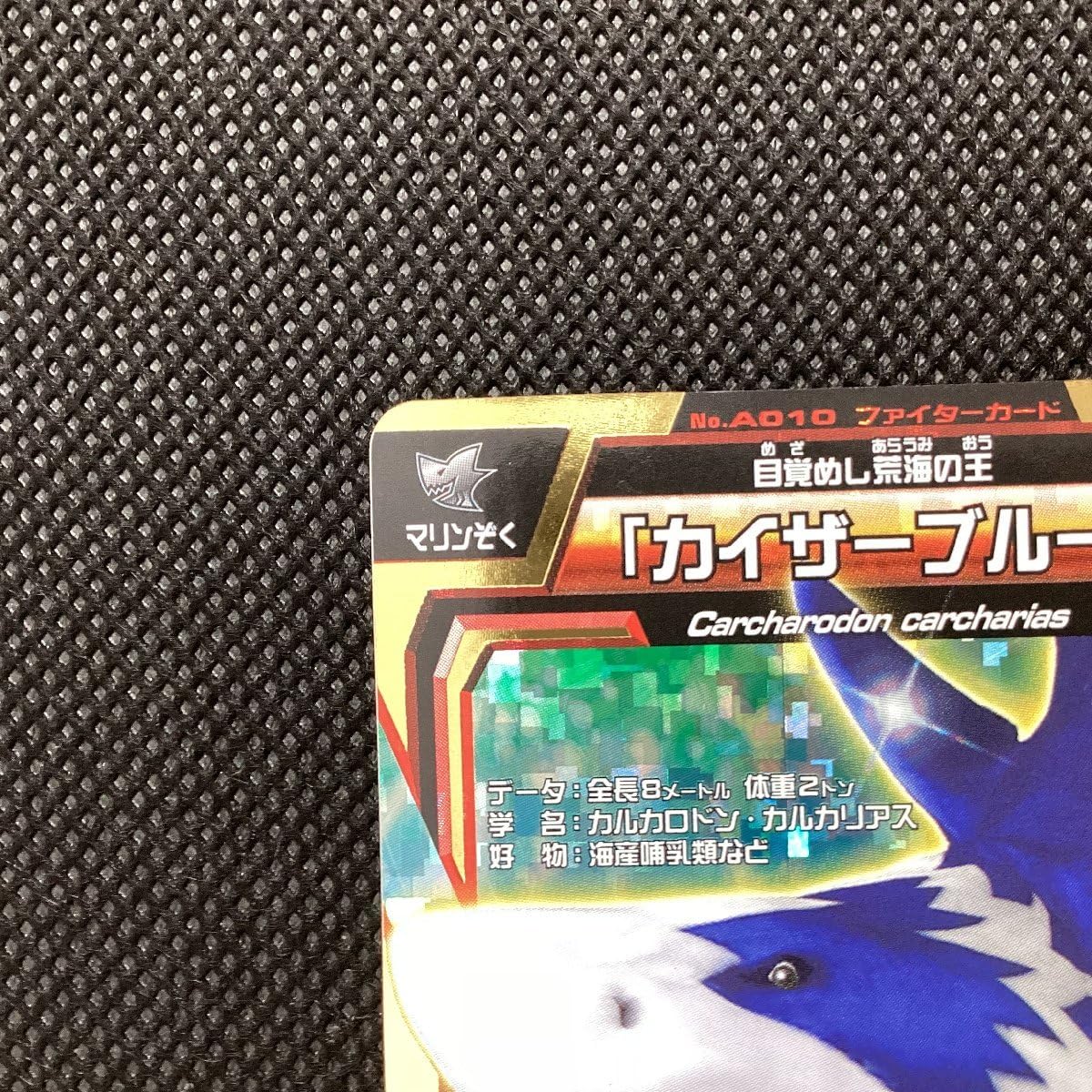 Amazon.co.jp: 百獣大戦 グレートアニマルカイザー 第1弾 A-010 目覚め