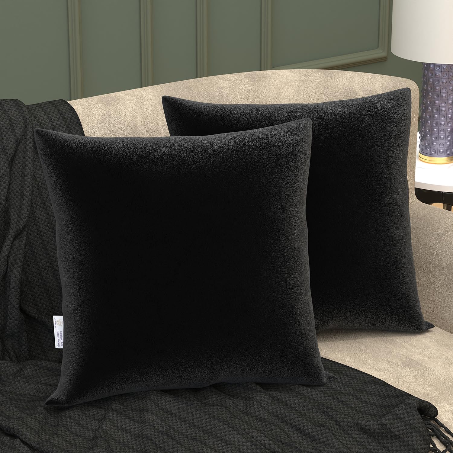 MY ARMOR Velvet Cushion Covers Set of 2-24 x 24 Inches, Soft & Luxurious Large Cushion Cases for Bedroom, Sofa, Chair & Living Room - Black (B0C1XCYLY5) Amazon Price History, Amazon Price Tracker