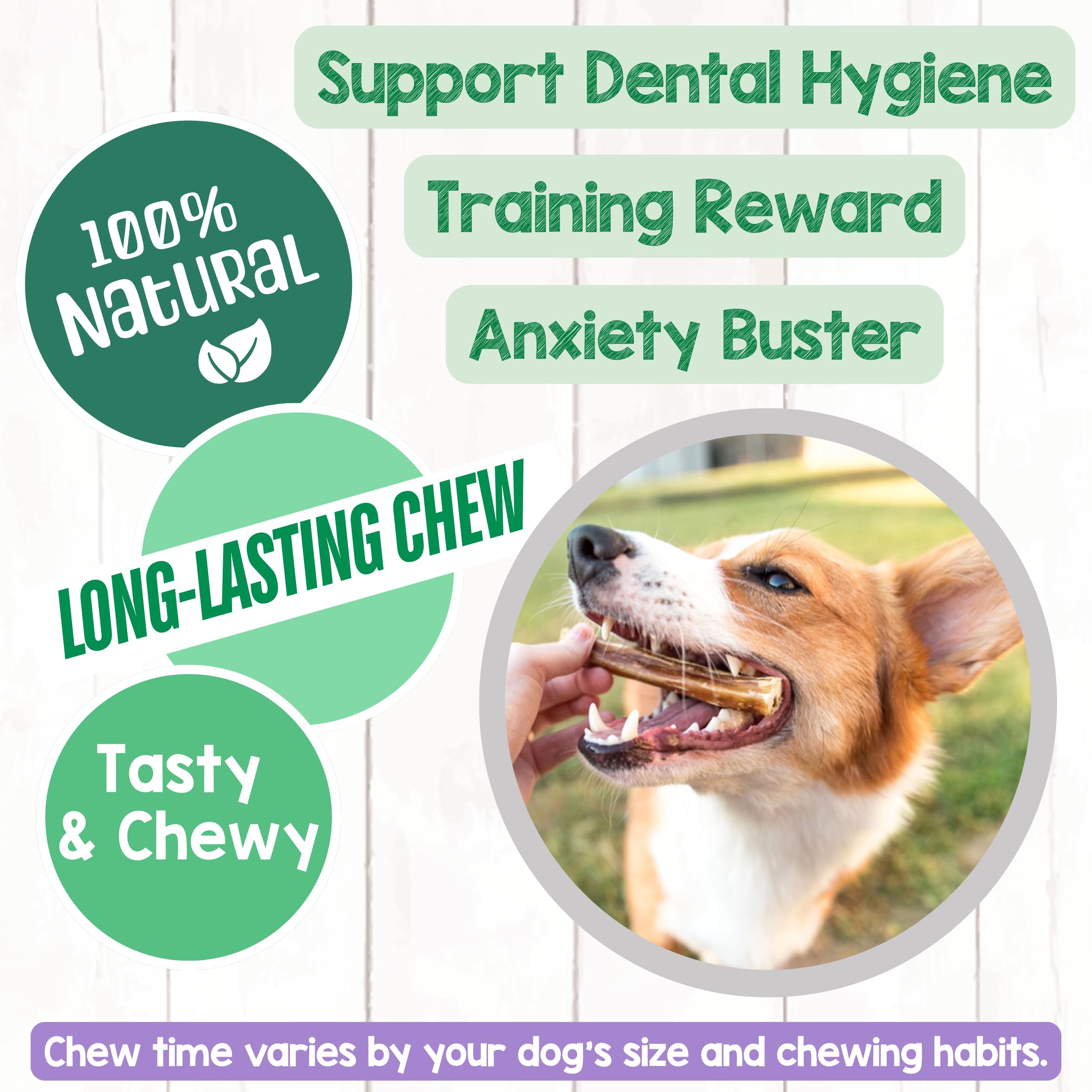 Nature Gnaws Small Bully Sticks for Dogs - Premium Natural Beef Bones - Thin Long Lasting Dog Chew Treats for Light Chewer...
