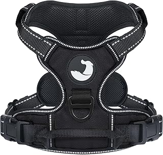 Joytale Dog Harness Medium, No-Pull Pet Harness with 2 Leash Clips, Adjustable Soft Padded Dog Vest, Reflective No-Choke Pet Oxford Vest with Easy Control Handle for Walking and Training, Black,M product image