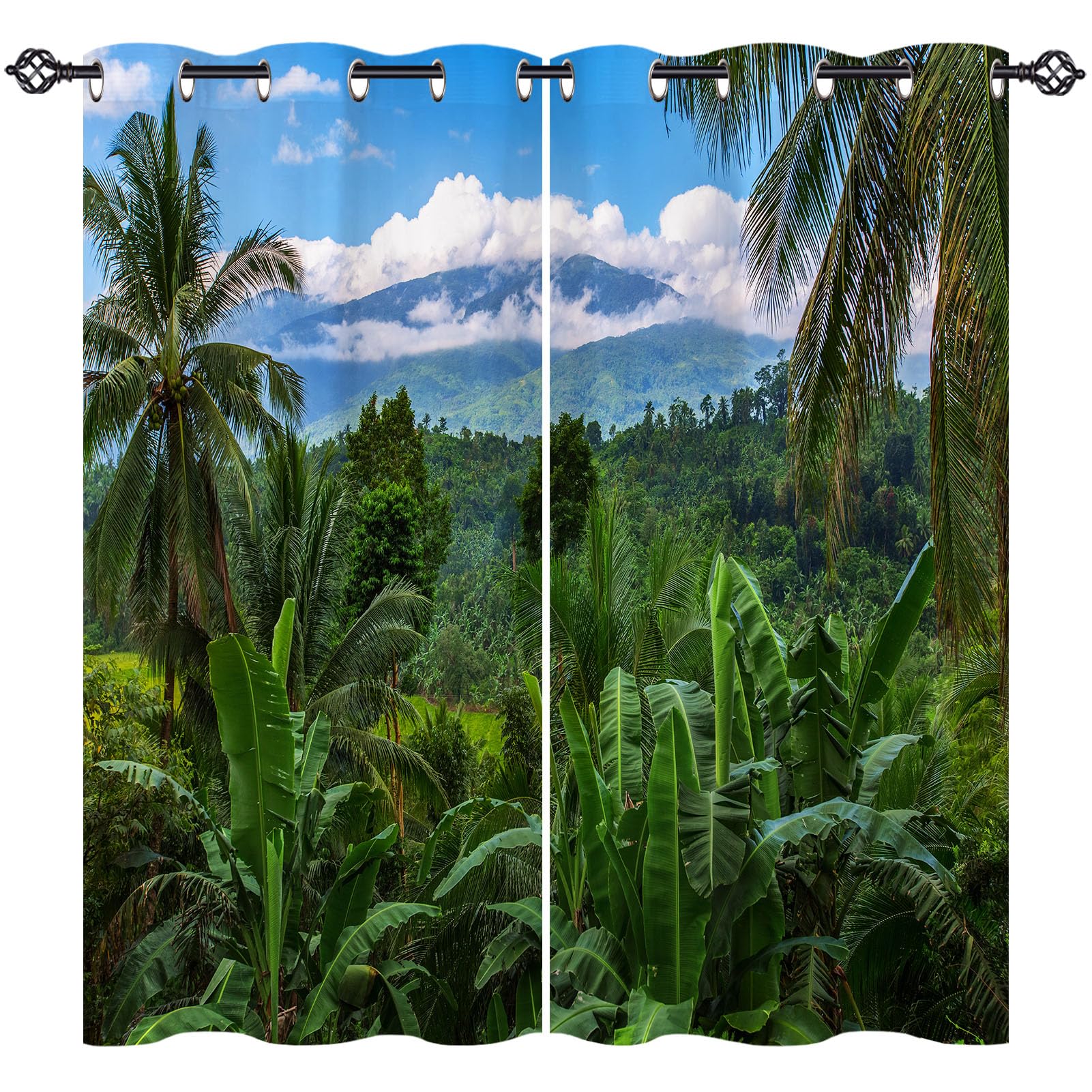 View 2