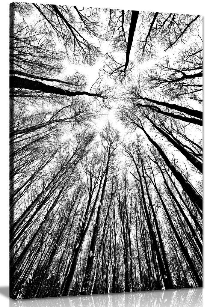 Panther Print White Abstract Modern Art Home Black & Trees Canvas Wall Art Picture Print (30X20in)