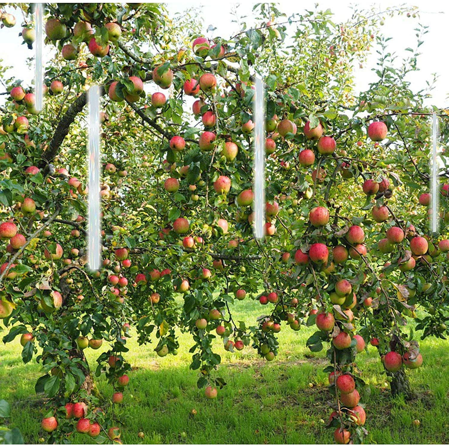 TronicXL Nastro catarifrangente per allontanare gli uccelli, per giardino, balcone, albero, frutta, piccioni, uccelli, spaventatore, spaventatore per uccelli (10 rotoli)