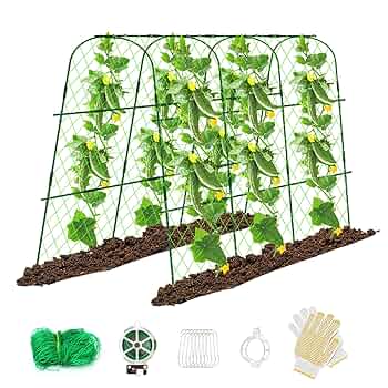 Hoyejyou 65"u00d748" Cucumber Trellis For Raised Bed, U-Shape Garden Trellis For Climbing Plants Outdoor, Metal Arch Vegetables Trellis, Detachable Cucumber Trellis Support For Tomato,Squash,Zucchini