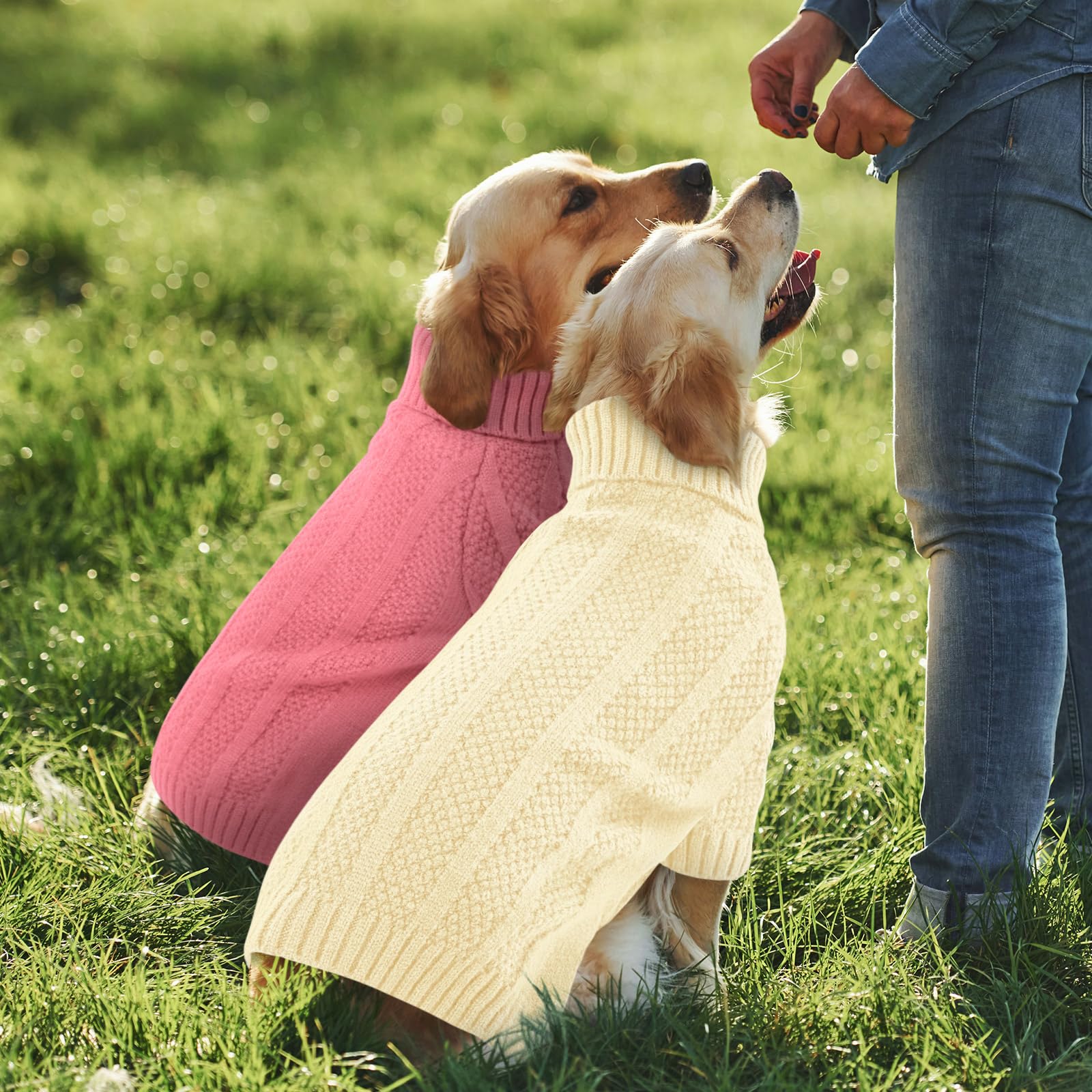 Queenmore Jersey Perro XL, Cuello Alto Manga Larga para Labrador, Golden Retriever, Border Collie, Ropa de Invierno Interior/Exterior (Marfil, XL)