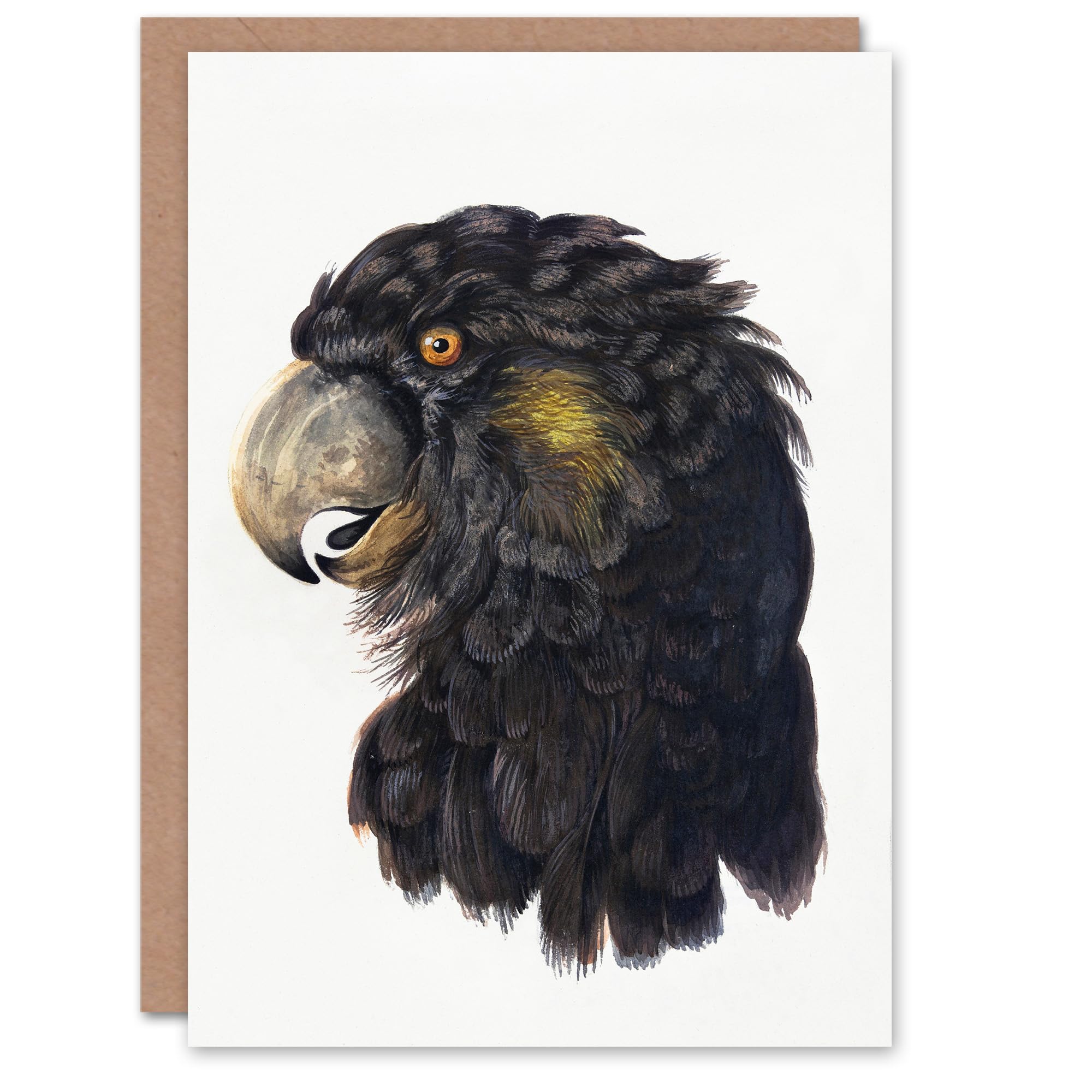 Artery8 Aert Schouman Art Card Cockatoo Parrot Head Watercolour