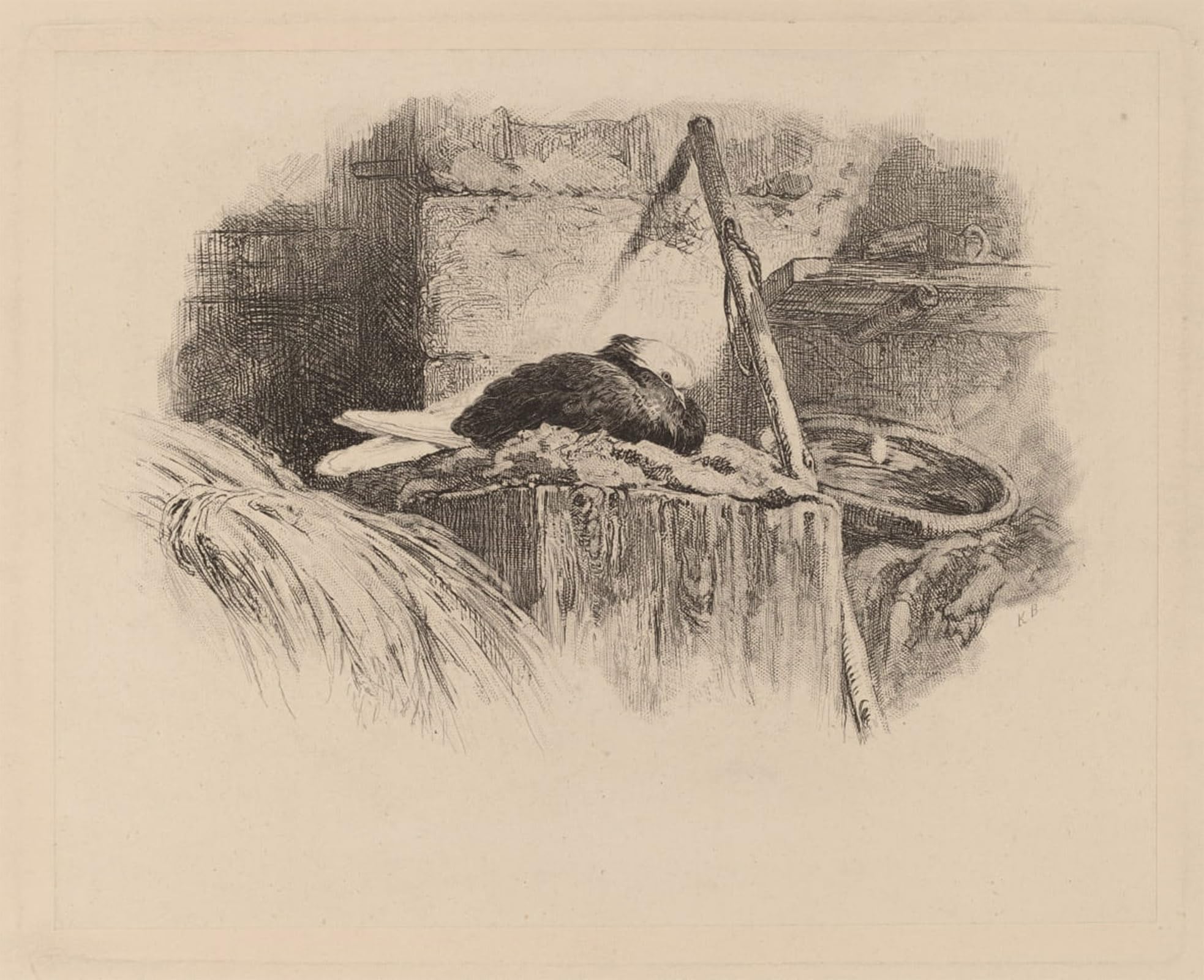 ARTXLXXBN Famous Prints Artwork Pictures Poster Painting Art Pigeon on a Nest by Karl Bodmer Artwork Landscape Pictures for Home Decor 60x90cm