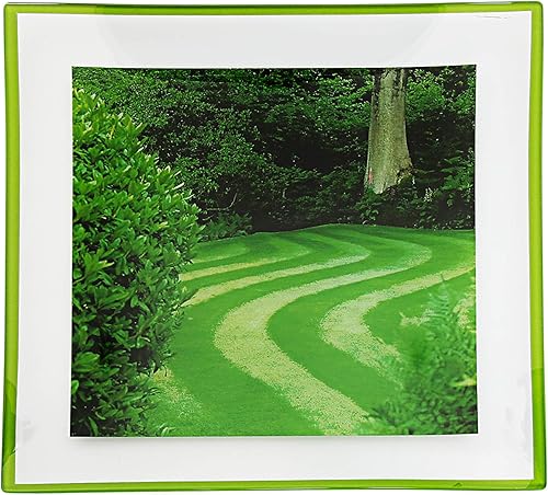 Miniatura 2 de GAC Platos cuadrados de vidrio templado – Platos llanos con diseño de paisaje vivo, resistentes a roturas y astillas, cristalería ligera y apilable,